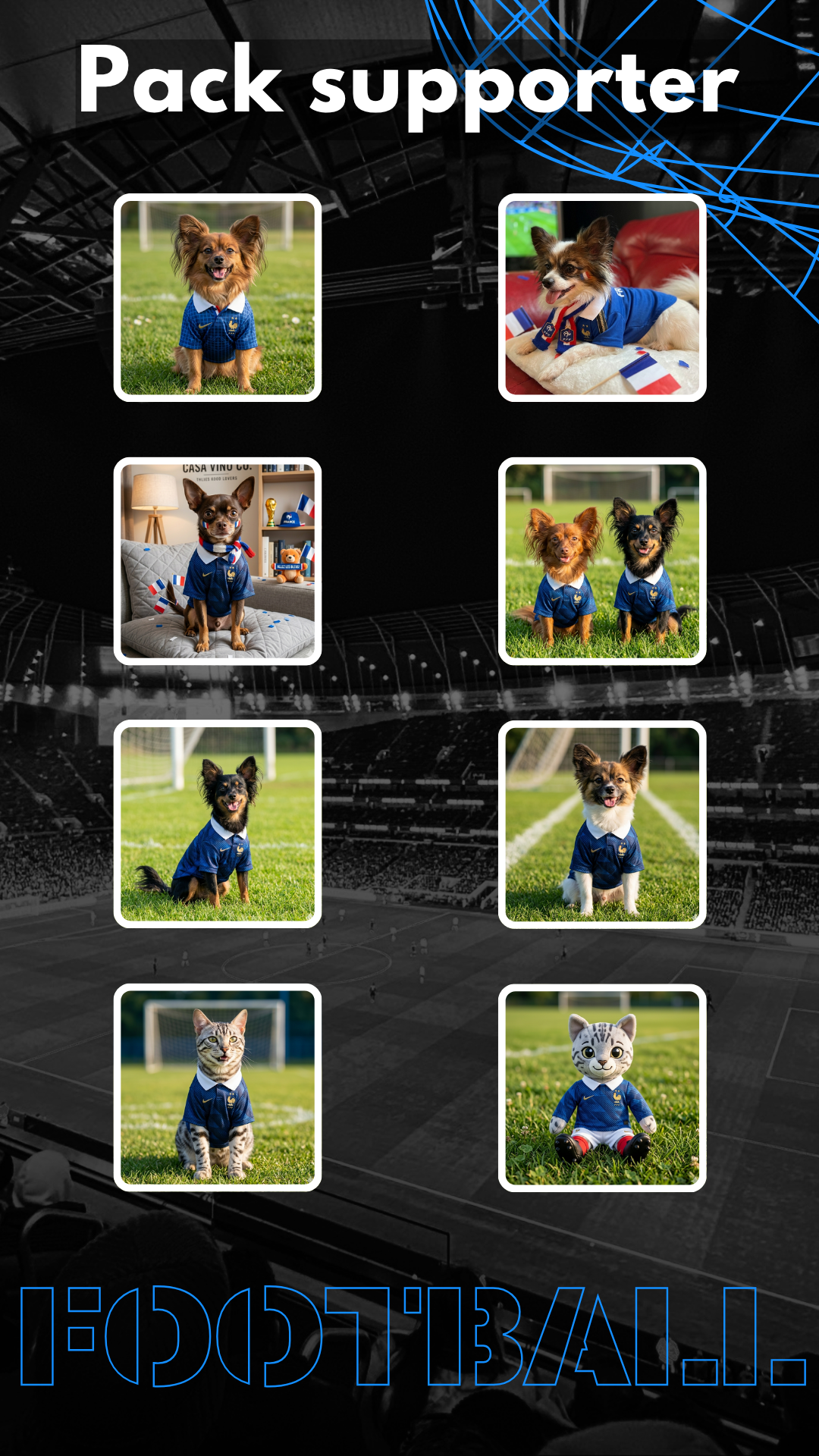 Pack Vignettes Instagram Animaux Supporters Football